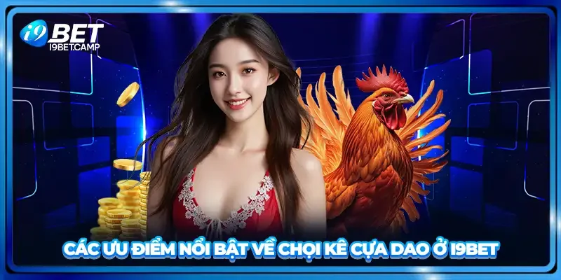 Các ưu điểm nổi bật về chọi kê cựa dao ở I9BET