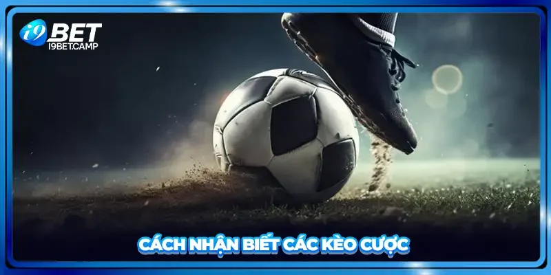 Cách nhận biết các kèo cược